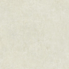 Линолеум Философия Конкрет3  2 м